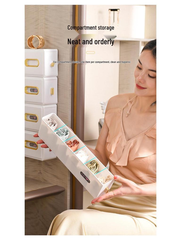 Wall-Mounted Sock & Underwear Organizer: Drawer-Style, Grid Design, Space-Saving Solution