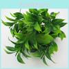 Citrus Plastic Reticulata Blanco Leaf For Garden Landscape Design Decor Indoor