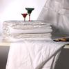 Yiyiai Tussah Silk Duvet