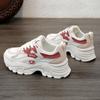 New spring and summer dad shoes platform heightening breathable mesh shoes