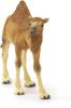 Schleich Wildlife Dromedary Figure 14832