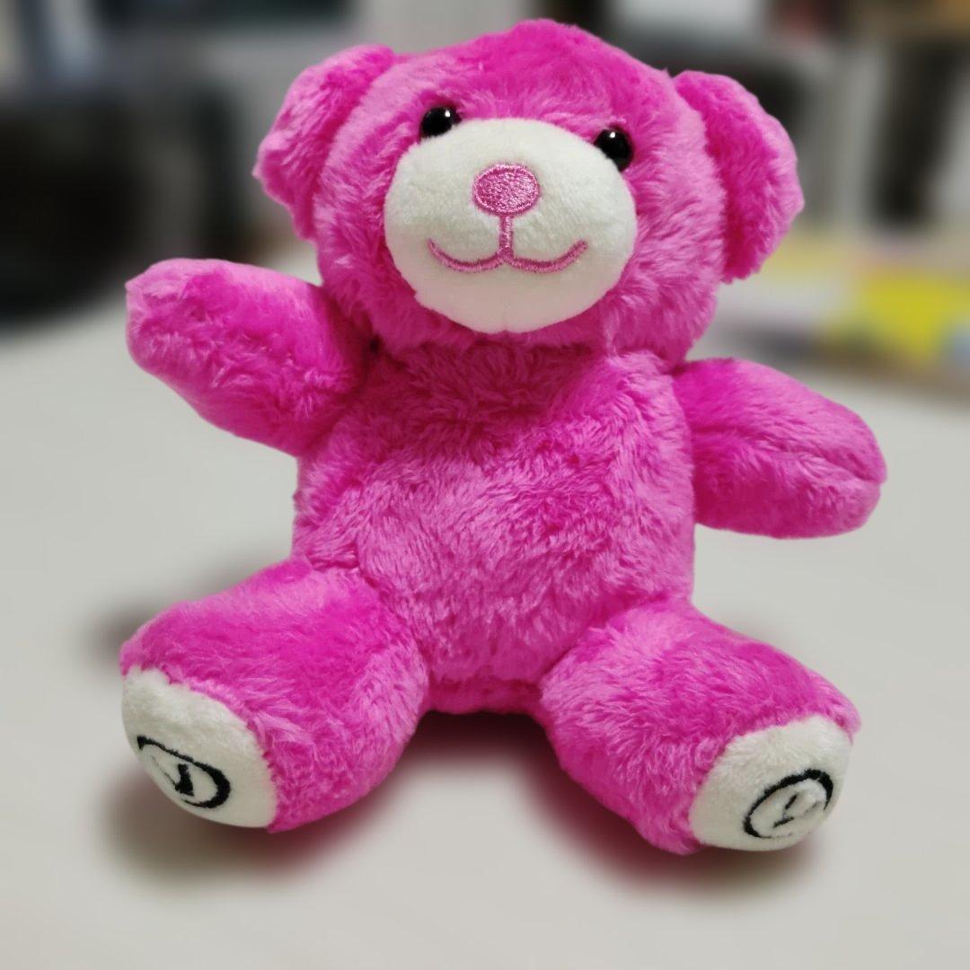 BTS Tete V Pink Bear FRI(END)S Keyring
