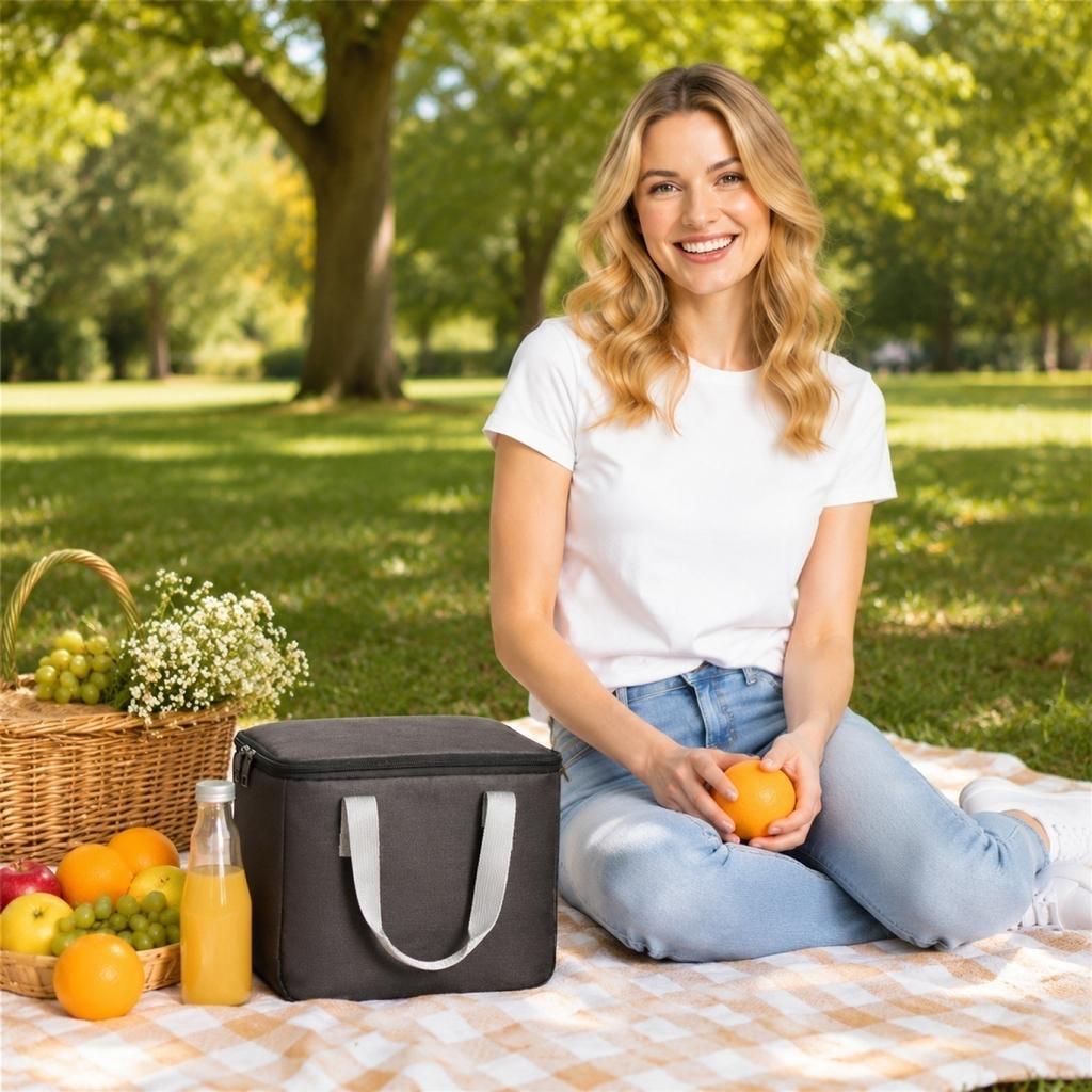 Portable Insulated Lunch Bag Oxford Fabric Thermal Cooler Tote Bag with Double Zipper Closure and Carrying Handles for Food Storage