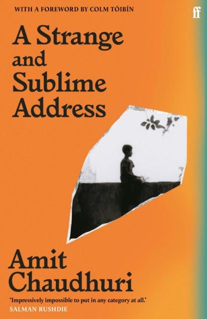 A Strange and Sublime Address by Amit Chaudhuri Paperback Book 9780571361496