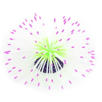 Ryby a mořští živočichové – Ozdoby do akvária