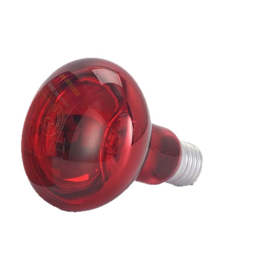 Infrared Beauty & Heating Lamp for Animals and Humans 220V/110V