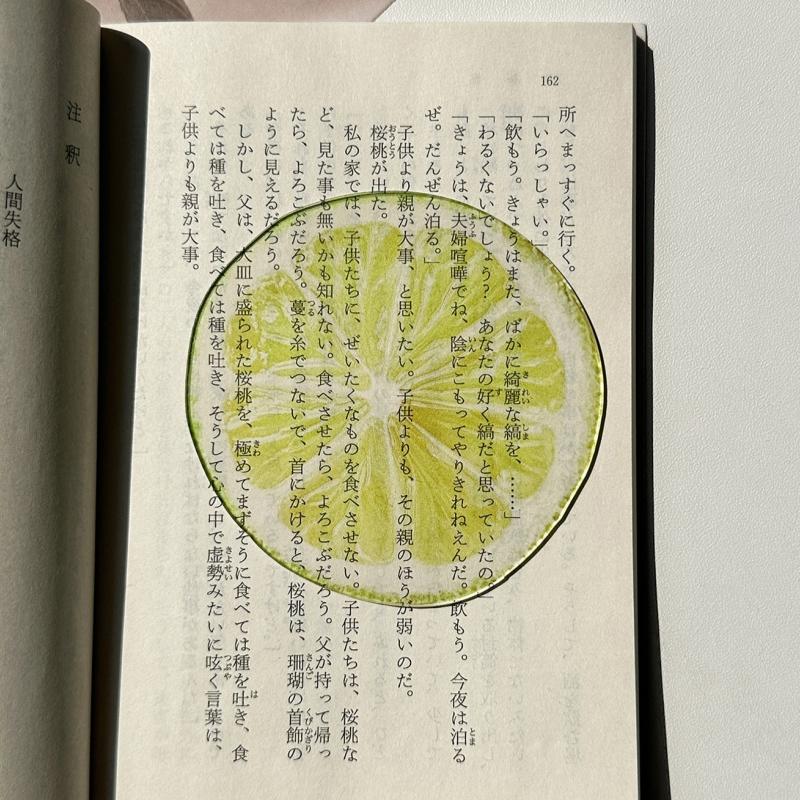 Marque-page en acrylique en forme de fruit Pomme Raisin Simulation Marque-page de lecture transparent Papeterie d'apprentissage Jouet pour enfants Cadeau