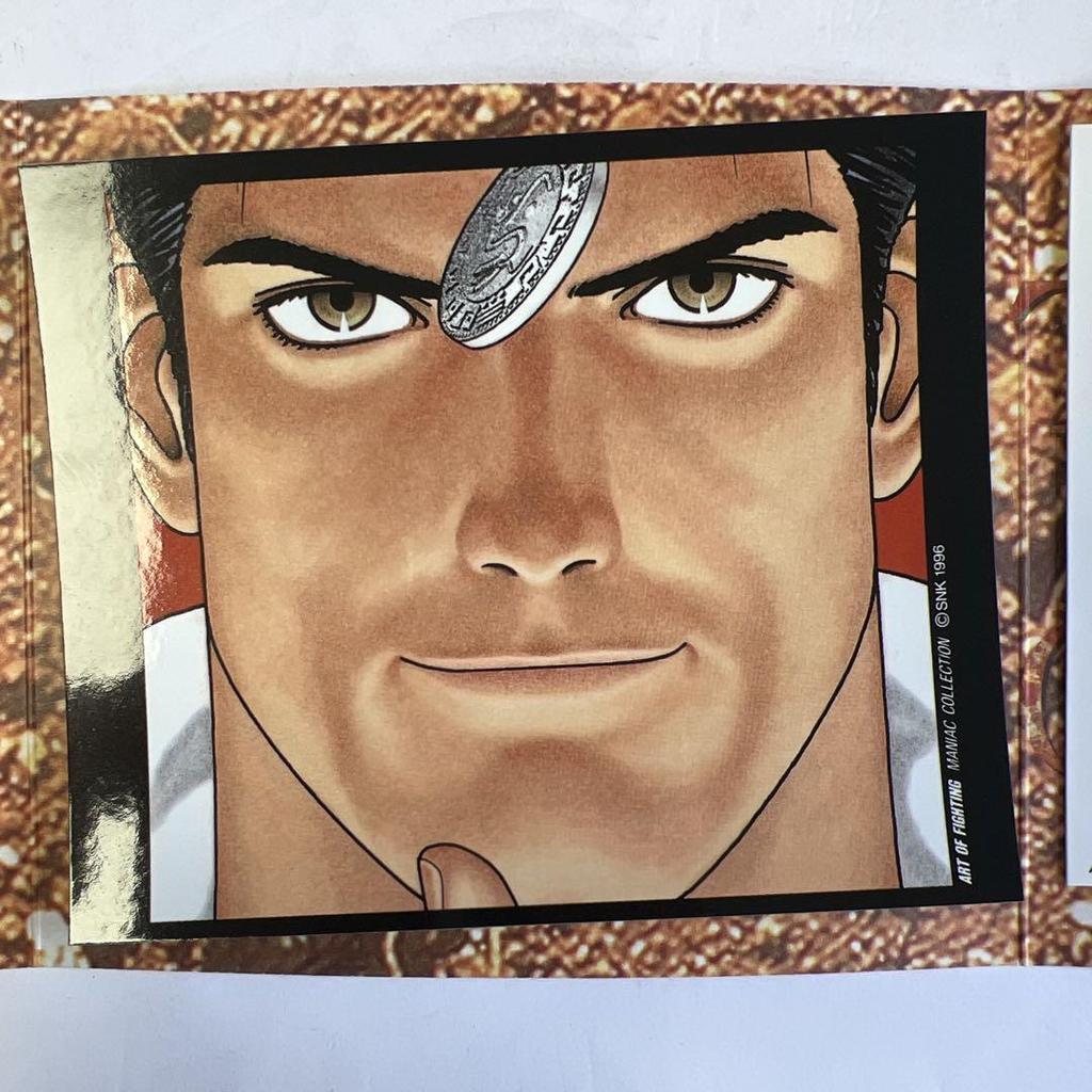 [USED] Neo Geo CD software Art of Fighting: Art of Fighting Gaiden Limited Edition without disc