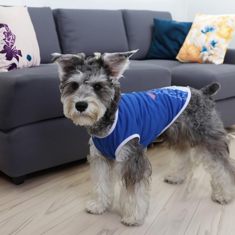 New Pet Clothes Spring Summer SS-29 Little Monster Vest