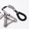 Dog Leash Slip Belt Leash Harnesses Rope Long Pet Strong Training Walking Swimming Belt Soft Handle