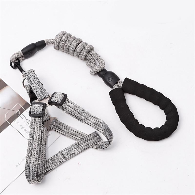 Dog Leash Slip Belt Leash Harnesses Rope Long Pet Strong Training Walking Swimming Belt Soft Handle