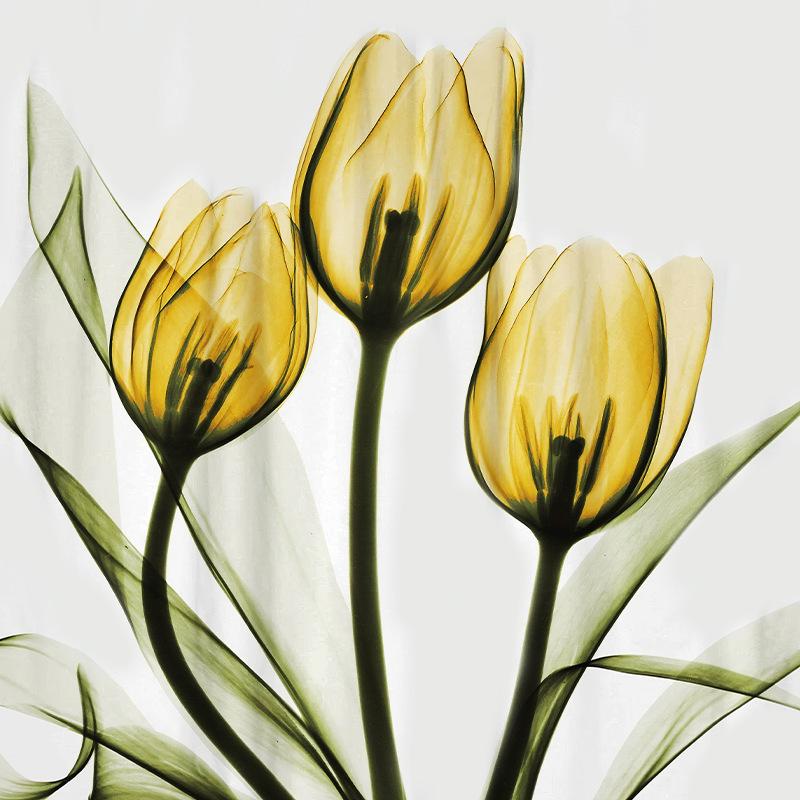 Flower 3D Digital Printing Shower Curtain Bathroom Without Punching Four-Piece Bathroom Curtain Shower Curtain Bathroom Curtain