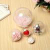Hanging Ball Home Decor Bauble Plastic Party Supplies Dry Flower Ball Clear Balls Christmas Pendant