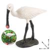 Black-faced Spoonbill Bird Simulation Model - Educational Toy for Children