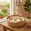 Natürliches gewebtes Katzenbett Winter Ganzjahres-Rundes Haustiernest Kleine Mittlere Große Katzen Mit Kissen Kühlmatte