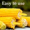 60 Pcs Stainless Steel Corn Holders Corn on The Grill Corn on The Cob Skewers Double Fork Sweet Corn Seat  Home & BBQ Cooking Fork BBQ Party