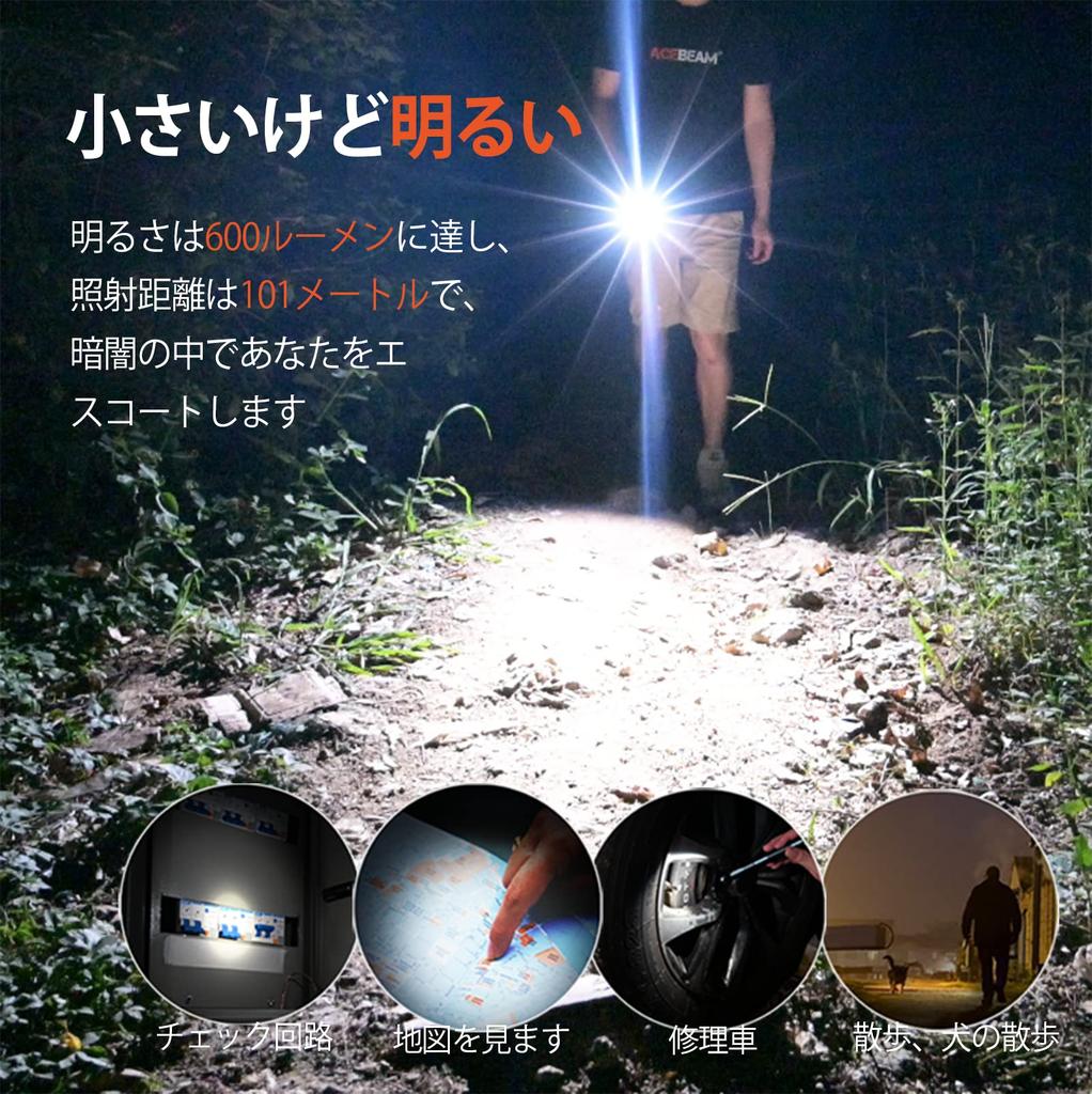 ACEBEAM Pokelit 2AA Nichia 519A High Color 5000K Daylight 600 Compact Compatible with AA IP68 Up To Days of Battery Stable Handy LED Flashlight for