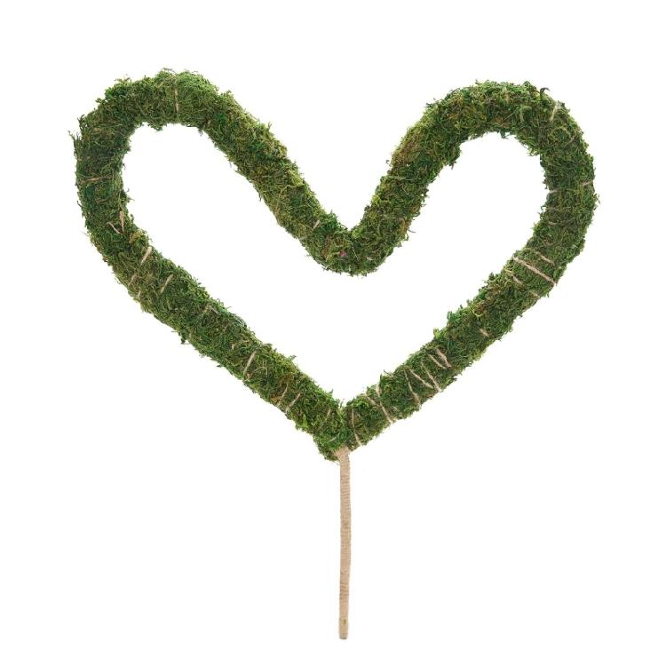 Plant Support Flexible Plant Stake Living Room Plant Stand Plant Climbing Support Suitable for Indoor Plant Growth