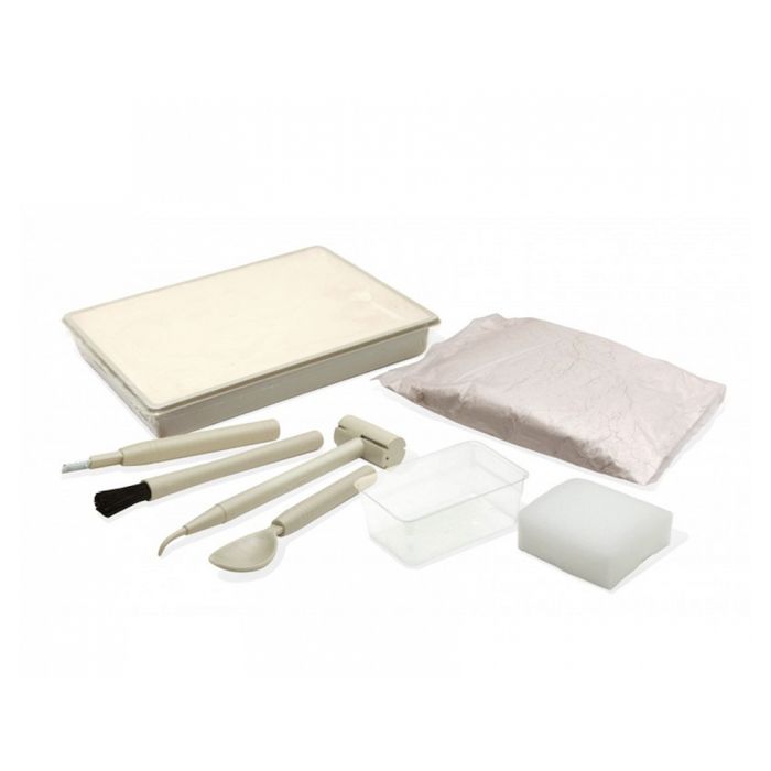 Jeu Scientifique - BUKI FRANCE - 439TYR - Dino Kit - Tyrannosaure - Bloc À Creuser Et Squelette À Assembler