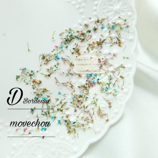 Nail Art Flower Decoration Multiple Color Nail Beauty UV Glue Filler Nail Charm Dried Flower Decoration Nail Supplies