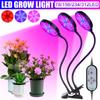 DC5V 2/3/4 Head Timing Full Spectrum Phyto Lamp Fruit Vegetable Grow Light USB Clip LED RedBlue Indoor Plant Grow Light