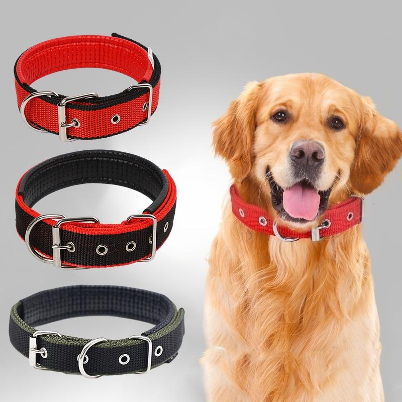 Pet Collar Made Of Pp Polypropylene Breathable And Comfortable Suitable For All Seasons