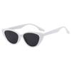 JYL TS Cat Eye Sunglasses UV Protection Fashion For Street Shooting NH1301