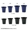 Richell Orchideengröße Set aus Made in 002106 Topf, 8, 5,5L, Schwarz, 5, Japan,