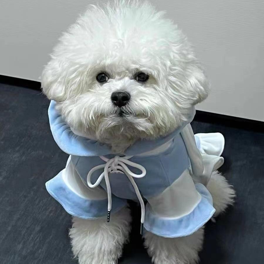 

Домашние животные Осень/Зима Собаки Куклы Смешная одежда Осень/Зима Плюшевая толстовка с заячьими ушками Толстовка с плюшевым мишкой Милая одежда Одежда для щенков XL