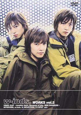 DVD [DVD] - WORKS vol.2  PCBP50763 Japan Filme & DVD Gebraucht