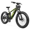 Cyrusher Ranger 2.0 Grün/Weiß/Schwarz 250W Motor 52V 20Ah Abnehmbarer Akku 9-Gang 26x4,0-Zoll-Reifen Mountainbike Offroad Elektrofahrrad