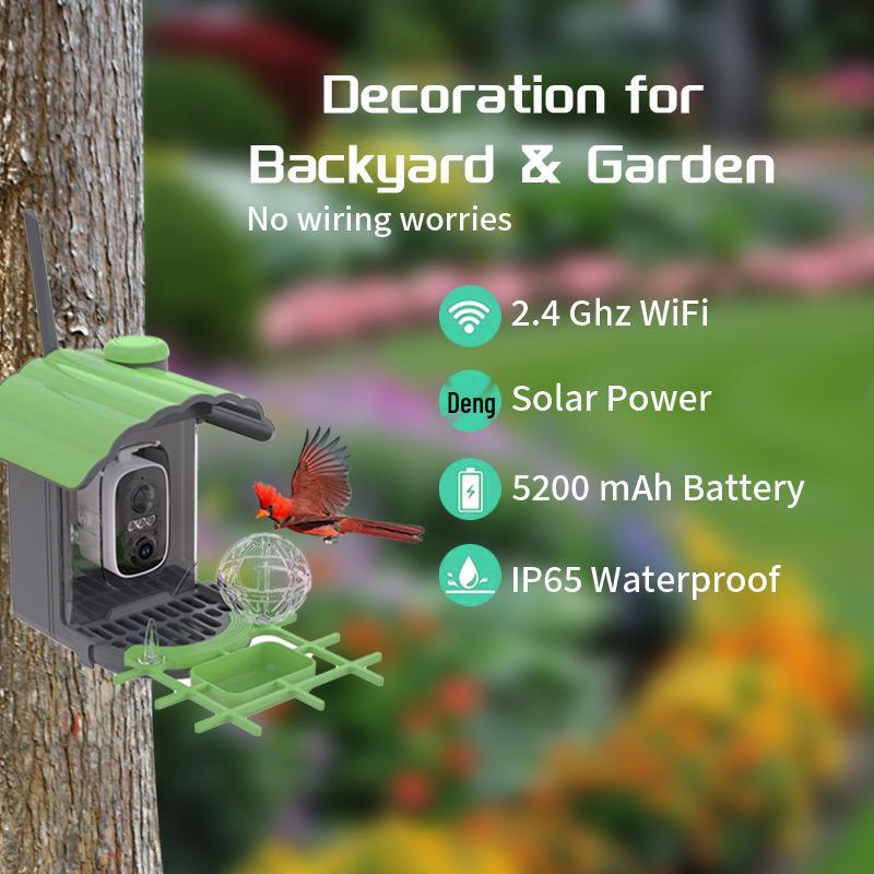 Smart Solar HD Bird Feeder with AI Hummingbird Identification