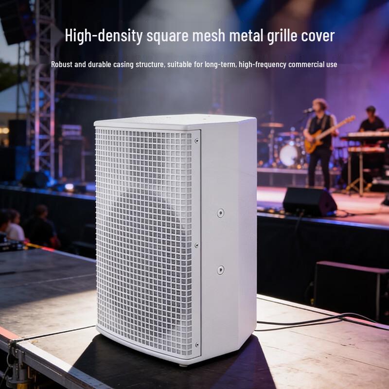 Weishu YE10 Professional 10-inch Full-Range Passive Speaker (CN version)