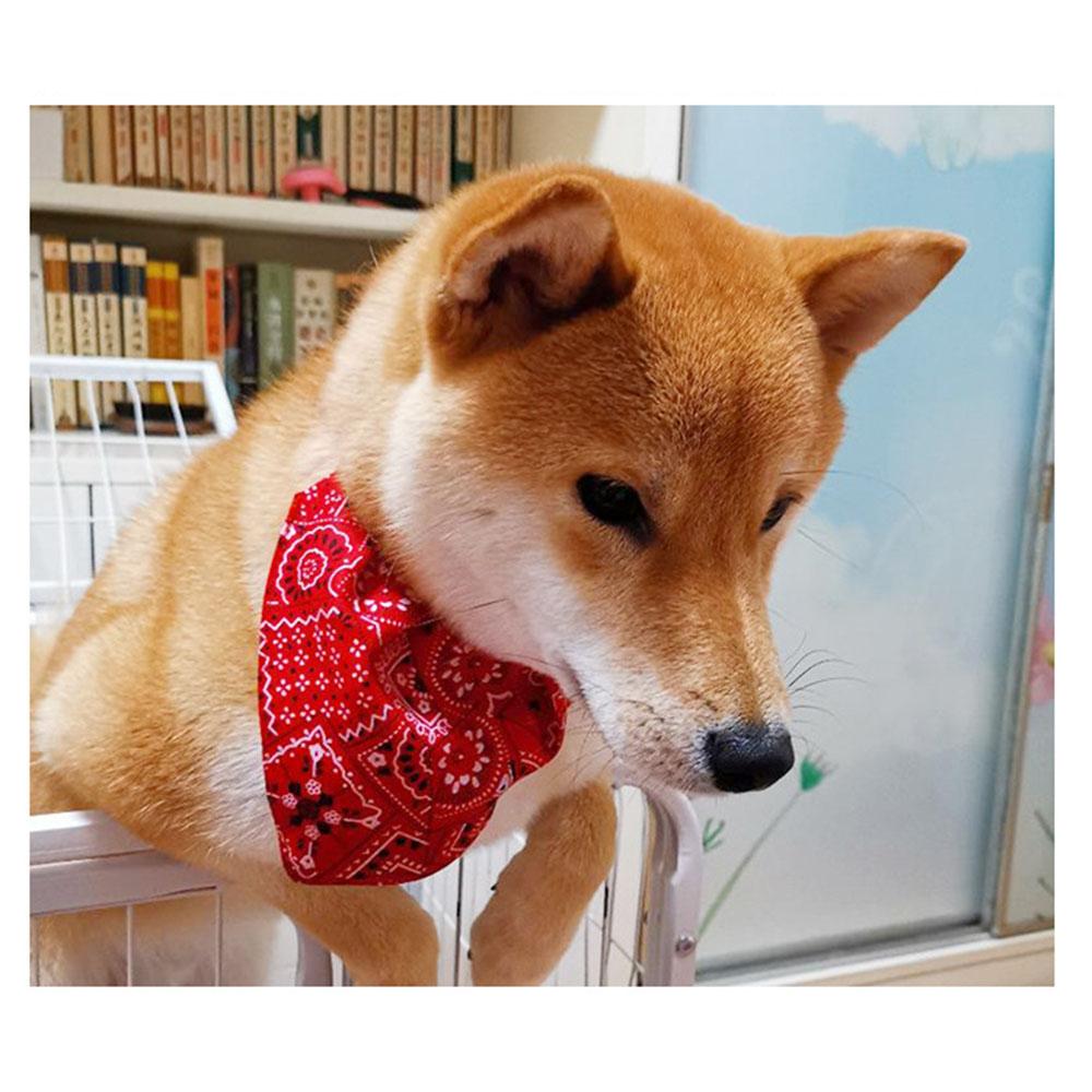 Pet Bandana Collar Scarf for Dogs Puppy & Cat Small Medium Large Dogs Adjustable Collars Red Blue Black Pink Stylish Dog Collar