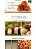 Yunnan Dried Maitake and Matsutake Edible Mushrooms
