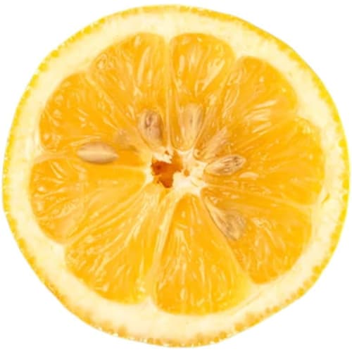 LUSH THE KISS Mouthwash 45g / Rose Flavor Oral Care LUSH Bad Breath Mouthwash / Cr?me De Menthe Zing! Zing Refresher Dirty Sparkle Rose Scent Bad Brea