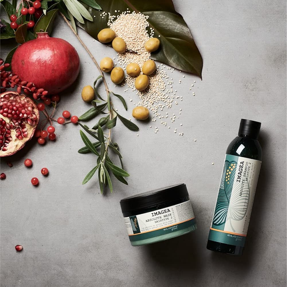 eLGON Imager Damage Care Shampoo [Shiny Hair] Organic Superfood 250ml (Value Pack of 2)