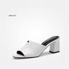 2025 Summer Casual Outer Wear Women's Cool Slippers European and American Simple Thick Heel Fish Mouth Women's High Heel One-word Drag Foreign Trade