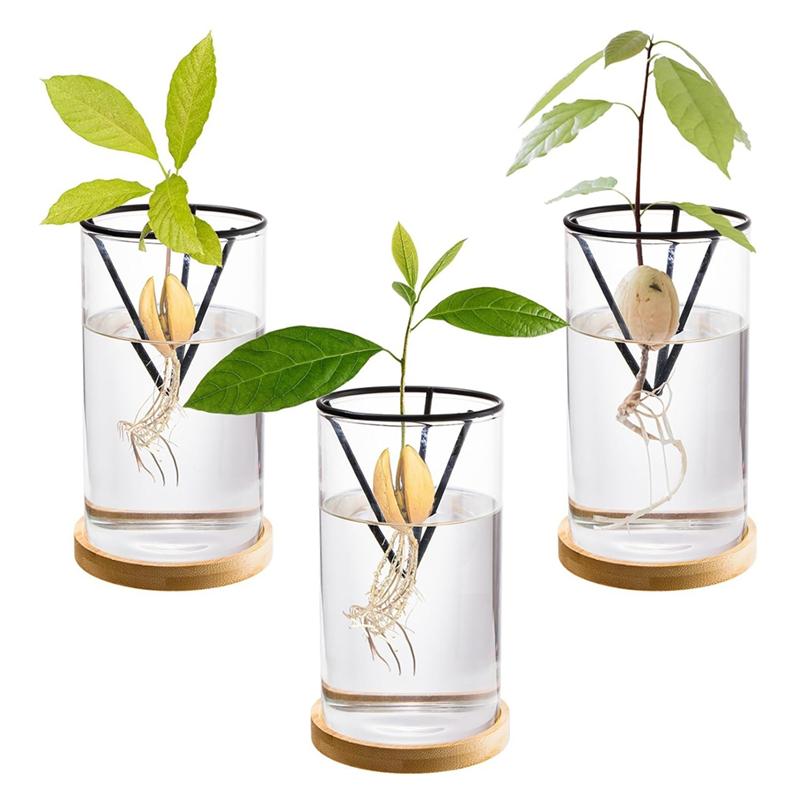 AD23-3 Pack Avocado Tree Growing Kits, Glass Avocado Seed Vase With Triangle Bracket And Bamboo Base, Sprouting Plant Pot