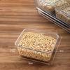 with Lid Ice Powder Box 6-Compartment Fruit Salad Box Seasoning Storage Box  for Spices Powders