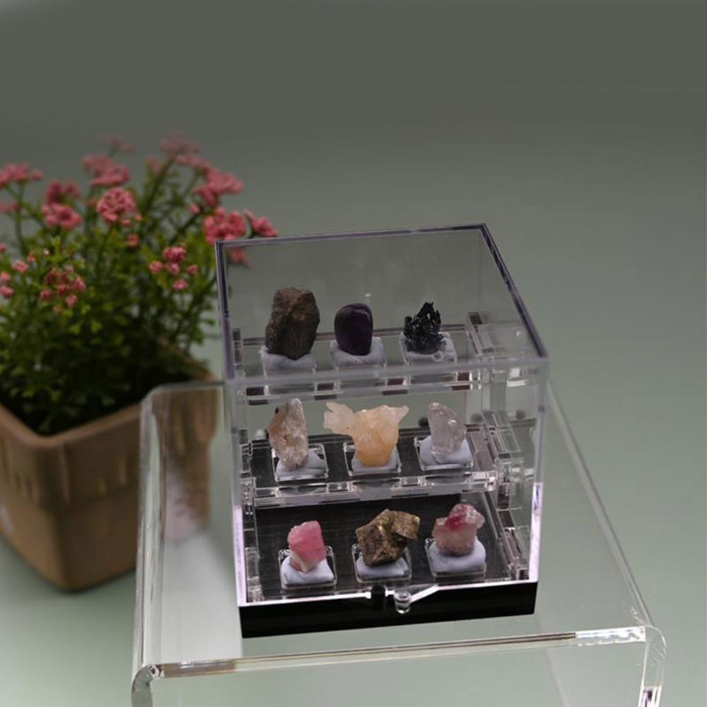 Multipurpose Dustproof Crystal Storage Case Portable for Geologists and Jewelry Designers Showcasing Natural Beauty