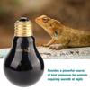 E26 110 120V 50W   75W Heat Light Lamp Heat Bulb for Reptile Pet Amphibian (75W)