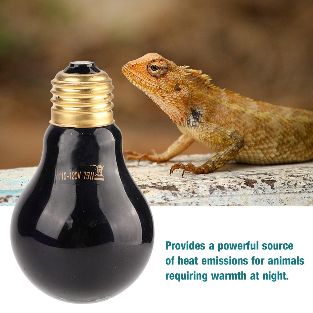 E26 110 120V 50W 75W Heat Light Lamp Heat Bulb for Reptile Pet Amphibian (75W)