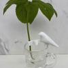Bird Shape Hydroponic Plant Stand Plant Propagation Buddy Holder Hydroponic Plant Stem Scaffold for Cuttings Shoots Sprouts