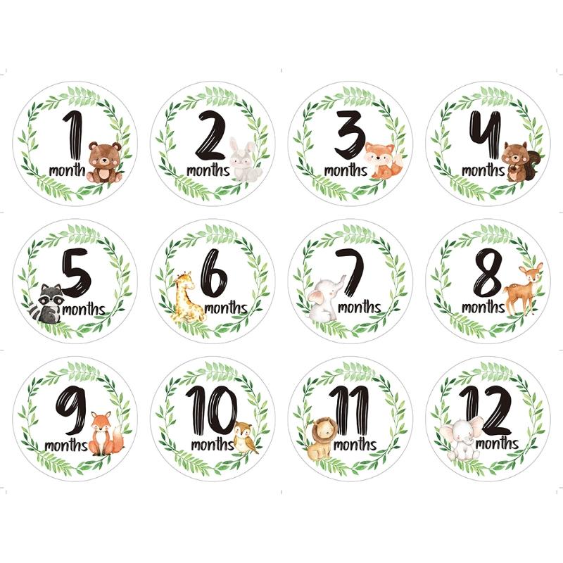 12 Pcs/Set Baby Monthly Record Cartoon Animal Floral Printed Stickers Newborn Milestone Stickers Memorial Month Stickers 1