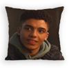 Jay Lycurgo Actor Tim Pillow Case Antidustmite Pillowcase Invisible zipper silky short plush Sofa cushion cover