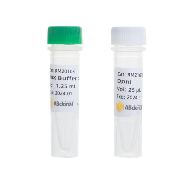 ABclonal DpnI Restriction Enzyme