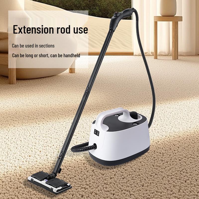 High-Temperature Steam Cleaner for Home, Auto Use, Formaldehyde Removal, & European/American Standards