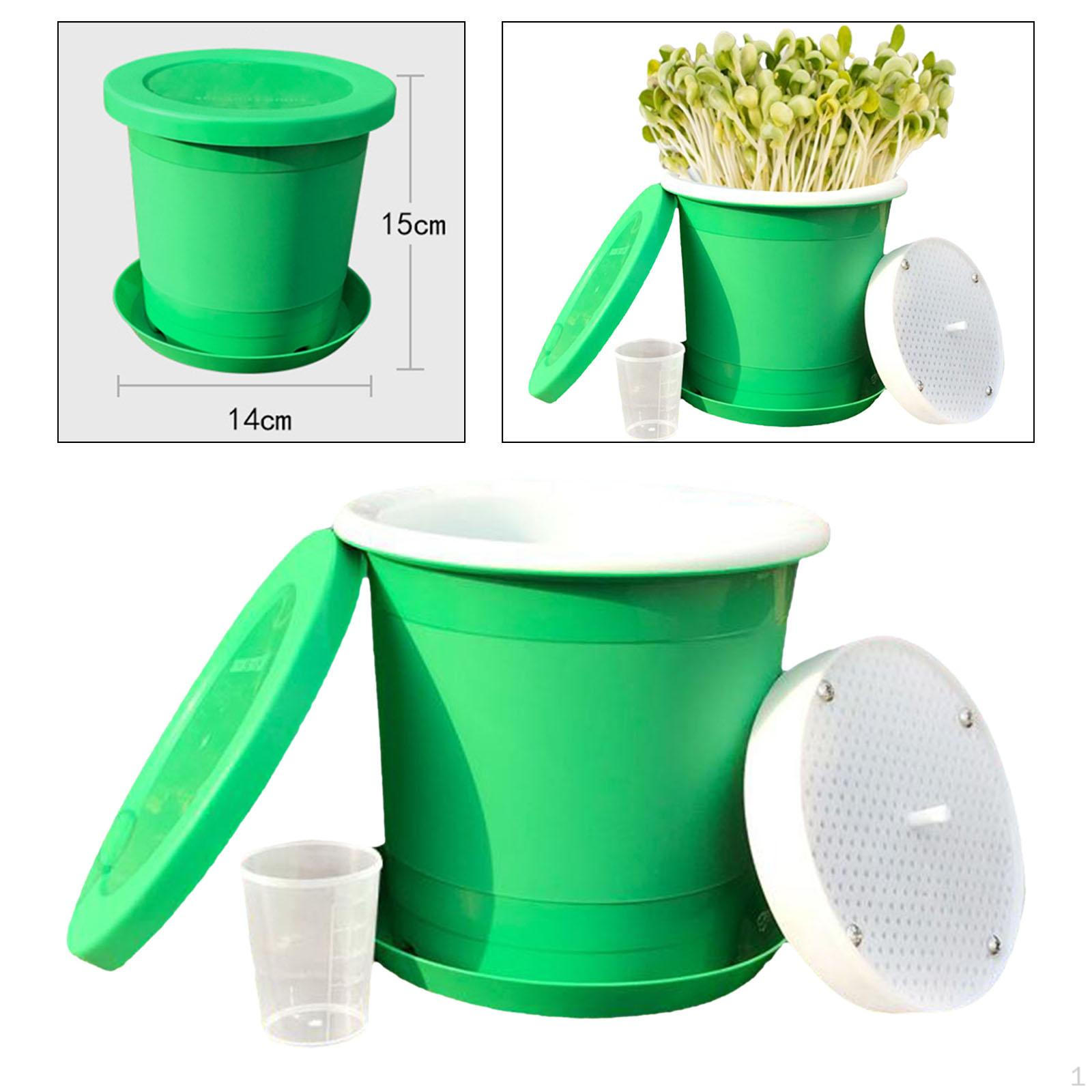 Набор для выращивания рассады для развития растений S