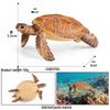 Ocean Wildlife Simulation Toy Set: Sea Turtle, Shark, Whale, Sea Lion, Tiger Shark, Manta Ray, Seal, Grouper.